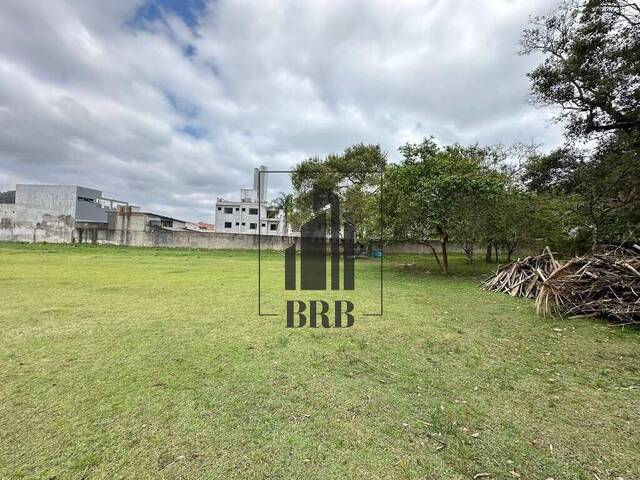 Barracão para Locação em Balneário Camboriú - 5